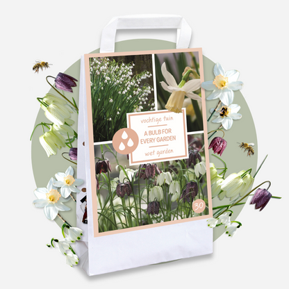 Other Types Of Flower Bulbs Wet Garden Box - 30 Blumenzwiebeln Für Feuchte & Regenreiche Standorte 