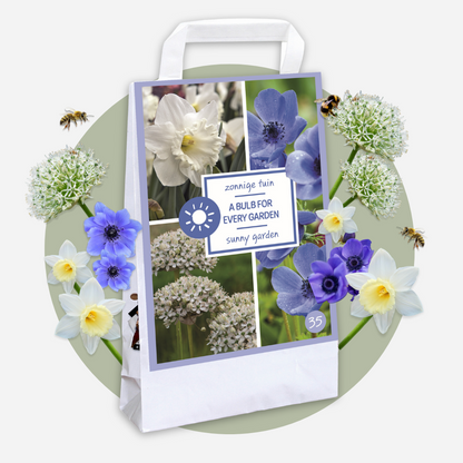 Other Types Of Flower Bulbs Blumenzwiebeln - 35 Stück - Sunny Garden Box - Anemone, Allium, Narzisse 