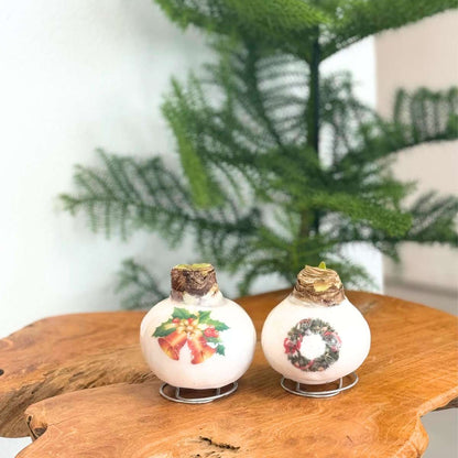 Amaryllis - Hippeastrum 'Porzellan Wachs Kranz' 