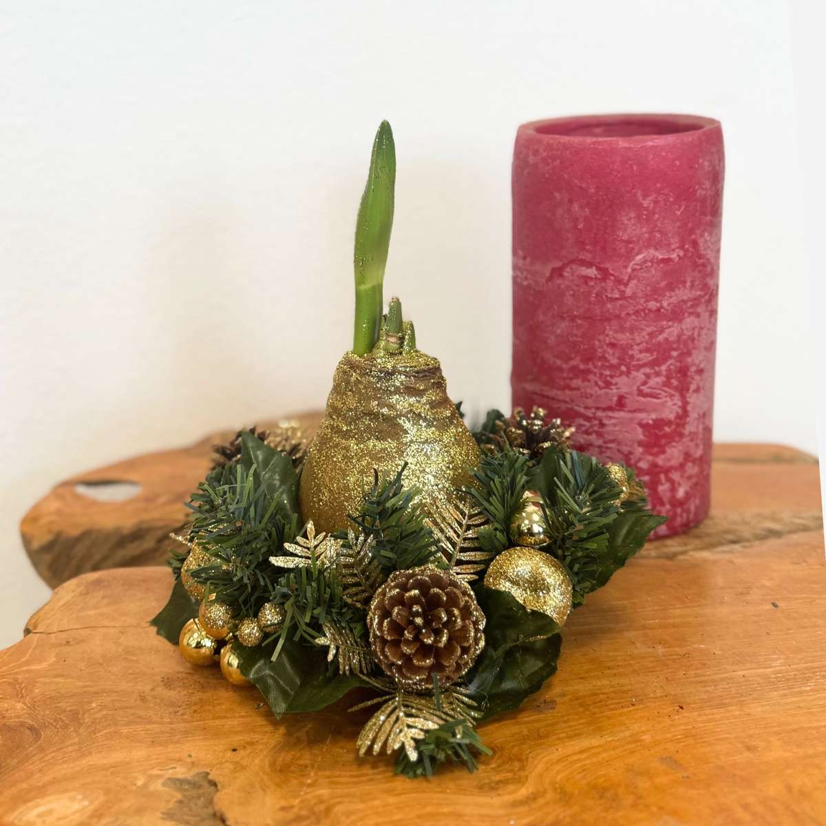 Amaryllis - Hippeastrum 'Weihnachtskranz' - Gold 