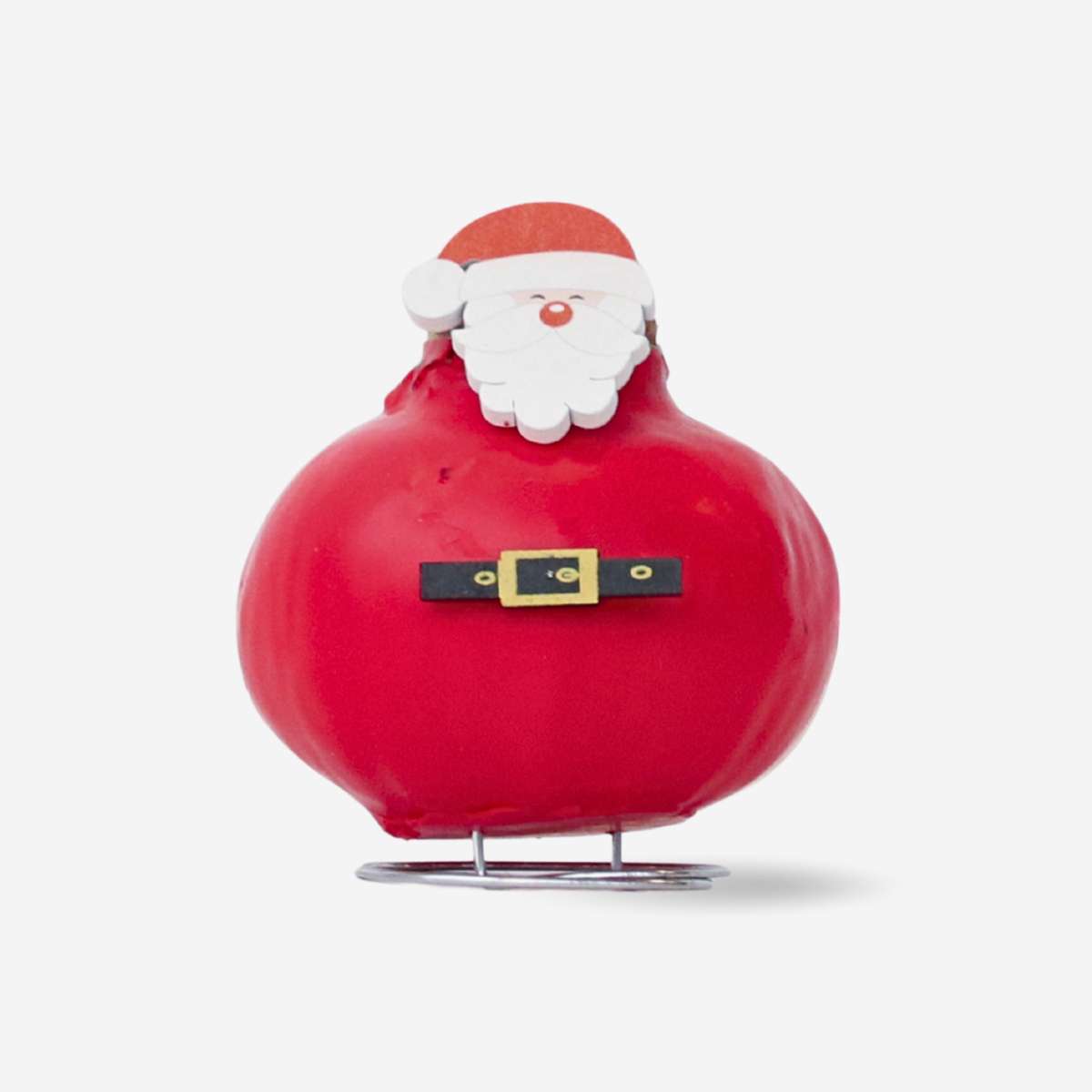 Amaryllis - Hippeastrum 'Wachs Spezial Weihnachtsmann' 