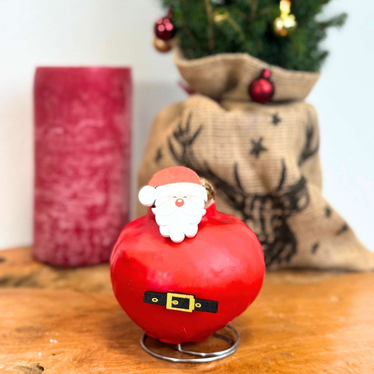 Amaryllis - Hippeastrum 'Wachs Spezial Weihnachtsmann' 