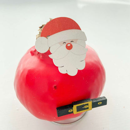 Amaryllis - Hippeastrum 'Wachs Spezial Weihnachtsmann' 