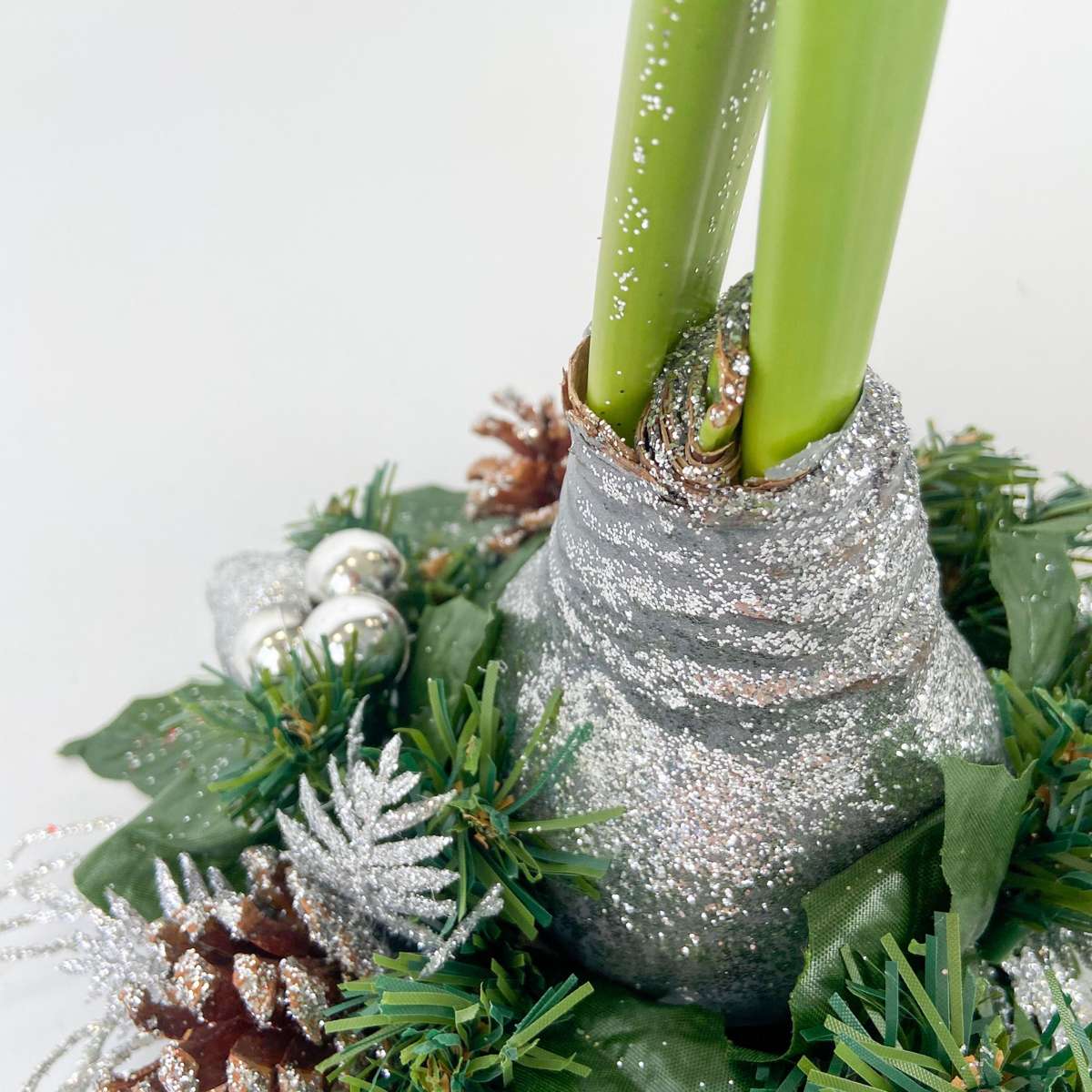 Amaryllis - Hippeastrum 'Weihnachtskranz' - Silber 
