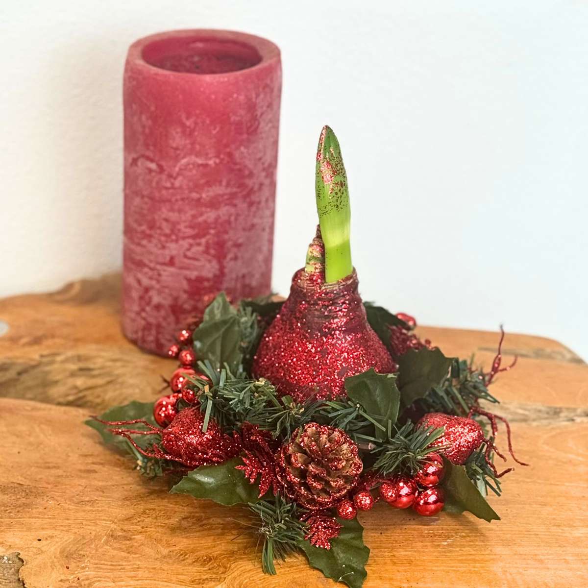 Amaryllis - Hippeastrum 'Weihnachtskranz Mix' 