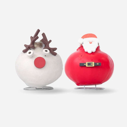 Amaryllis - Set Mit 2 - Hippeastrum 'Wachs Spezial Mix' 