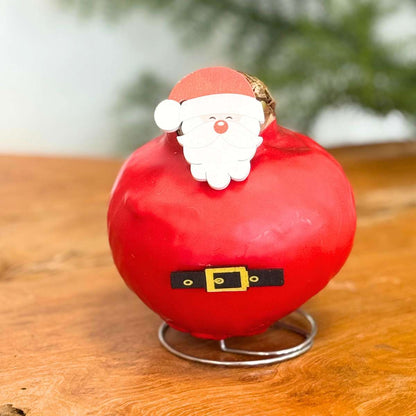 Amaryllis - Set Mit 2 - Hippeastrum 'Wachs Spezial Mix' 