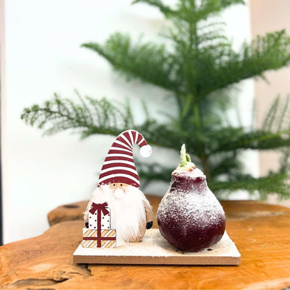 Amaryllis - Set Mit 3 - Hippeastrum 'Winterwunderland Mix' 