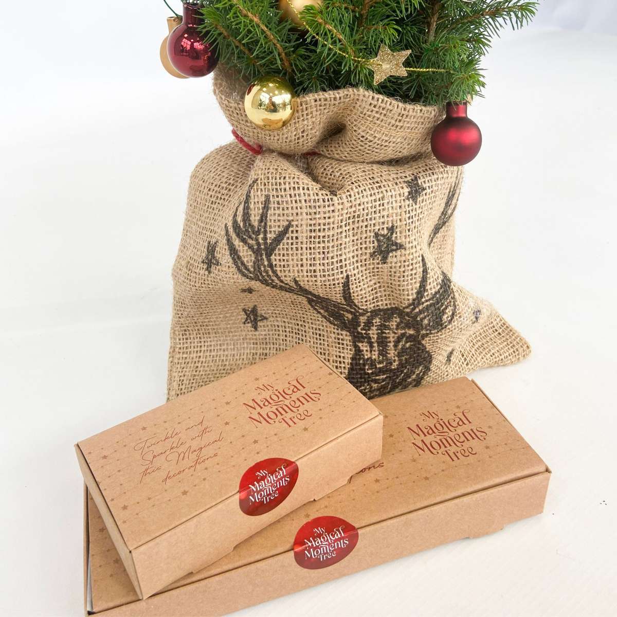 Mini Weihnachtsbaum Picea glauca conica – 55–65cm Ø15cm – Echter Baum im Jutesack mit Rentiermotiv – Komplettes DIY Deko Set mit Kugeln Sternengirlande warmweißer Beleuchtung 