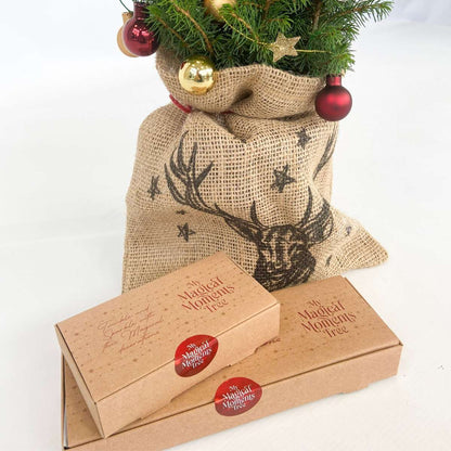 Mini Weihnachtsbaum Picea glauca conica – 55–65cm Ø15cm – Echter Baum im Jutesack mit Rentiermotiv – Komplettes DIY Deko Set mit Kugeln Sternengirlande warmweißer Beleuchtung 