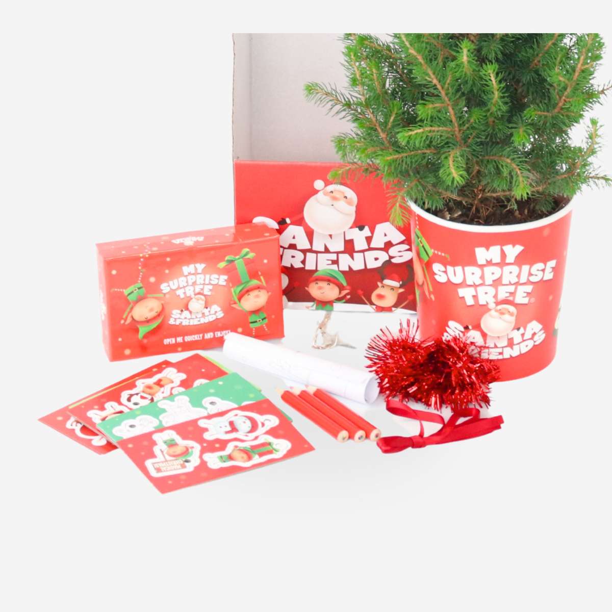Picea Zuckerhutfichte – Picea conica 50–60cm – Mini Weihnachtsbaum Set mit Deko – Kreatives Bastelset für Kinder Familien Klassen – Immergrüne Fichte 13cm mit LED Lichterkette Aufklebern Topfhülle 