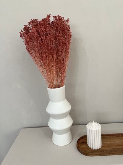 Broom Bloom - ein Bund 