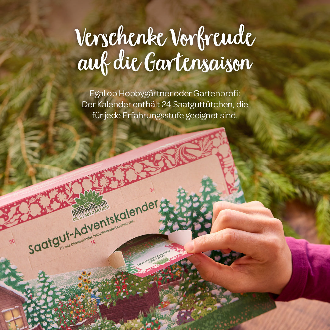 Saatgut-Adventskalender mit Türchen 