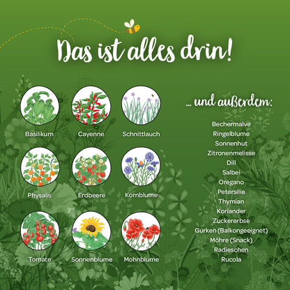 Saatgut-Adventskalender mit Türchen 