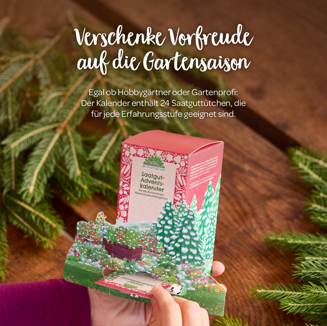 Saatgut-Adventskalender "Winterlandschaft" 