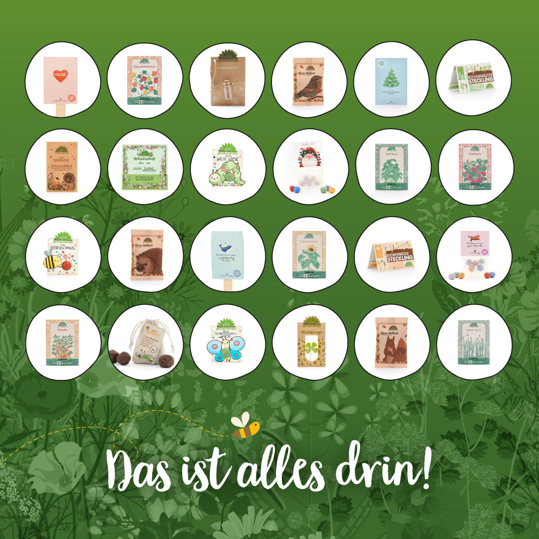 Stadtgärtner-Adventskalender "Naturerlebnis" 