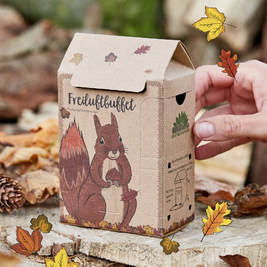 Freiluftbuffet für Eichhörnchen 