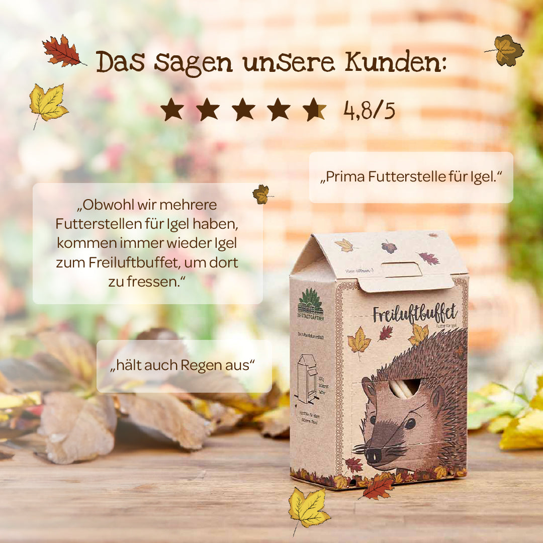 Freiluftbuffet für Igel 