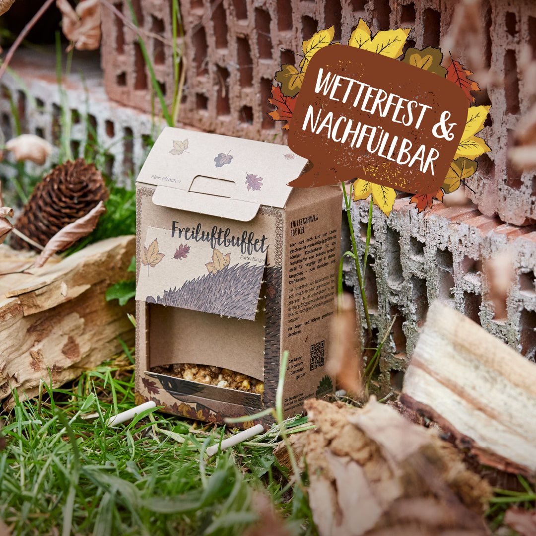 Freiluftbuffet für Igel 