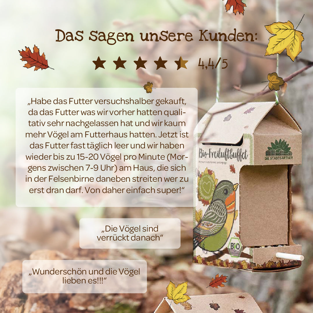 BIO-Freiluftbuffet für Vögel 