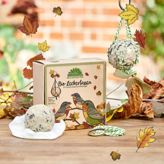 4 BIO-Leckerbissen – Futterknödel 
