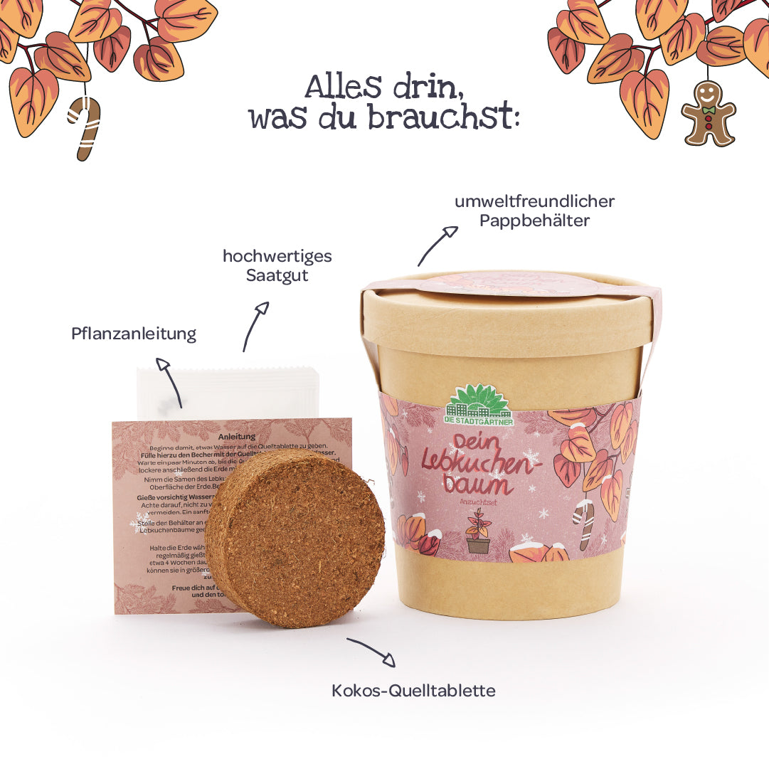 Lebkuchenbaum aus dem Becher 