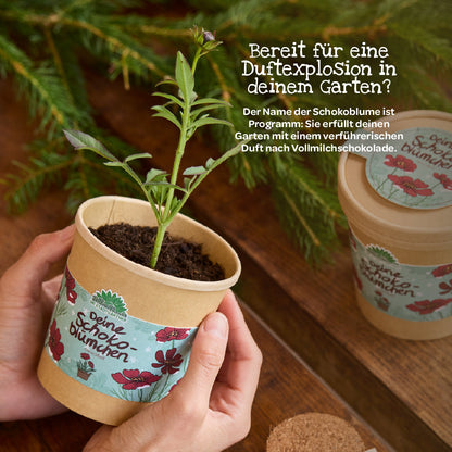Schokoblumen aus dem Becher 