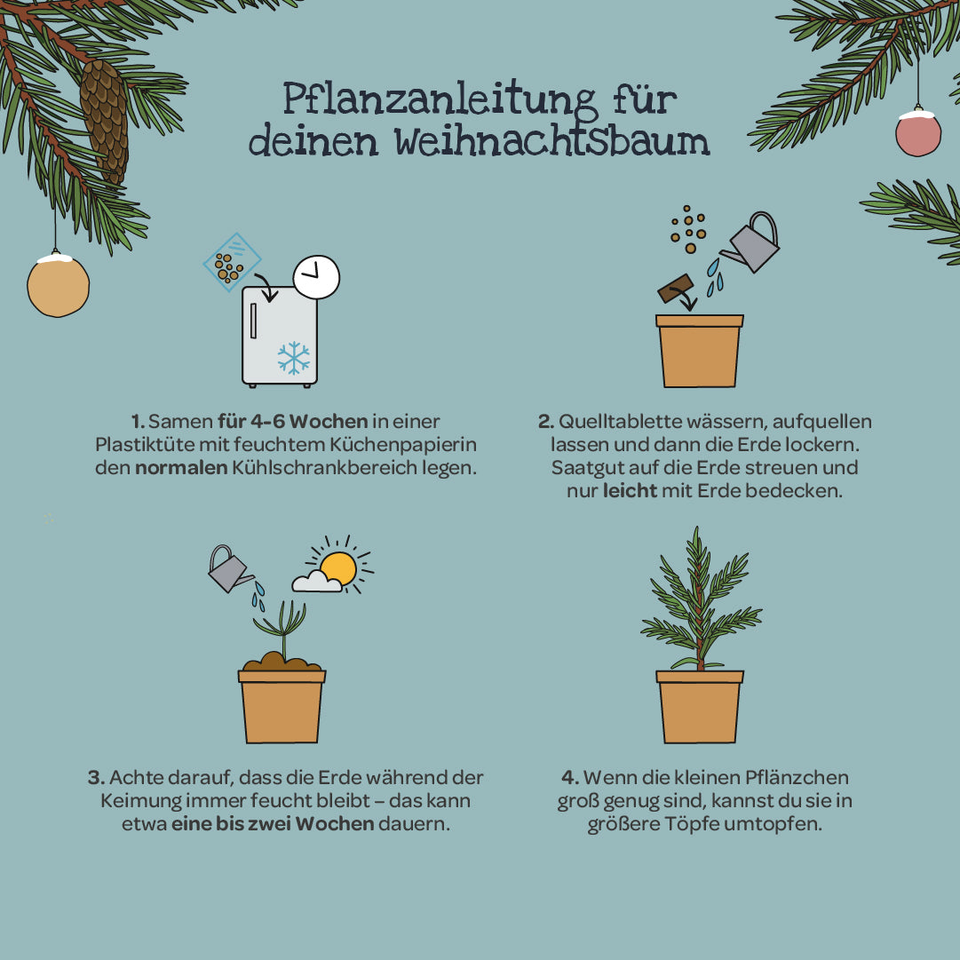 Weihnachtsbaum 2030 aus dem Becher 