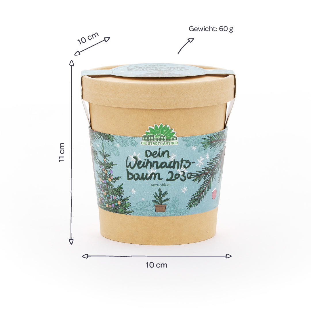 Weihnachtsbaum 2030 aus dem Becher 