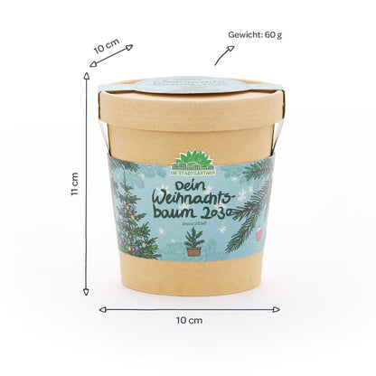 Weihnachtsbaum 2030 aus dem Becher 