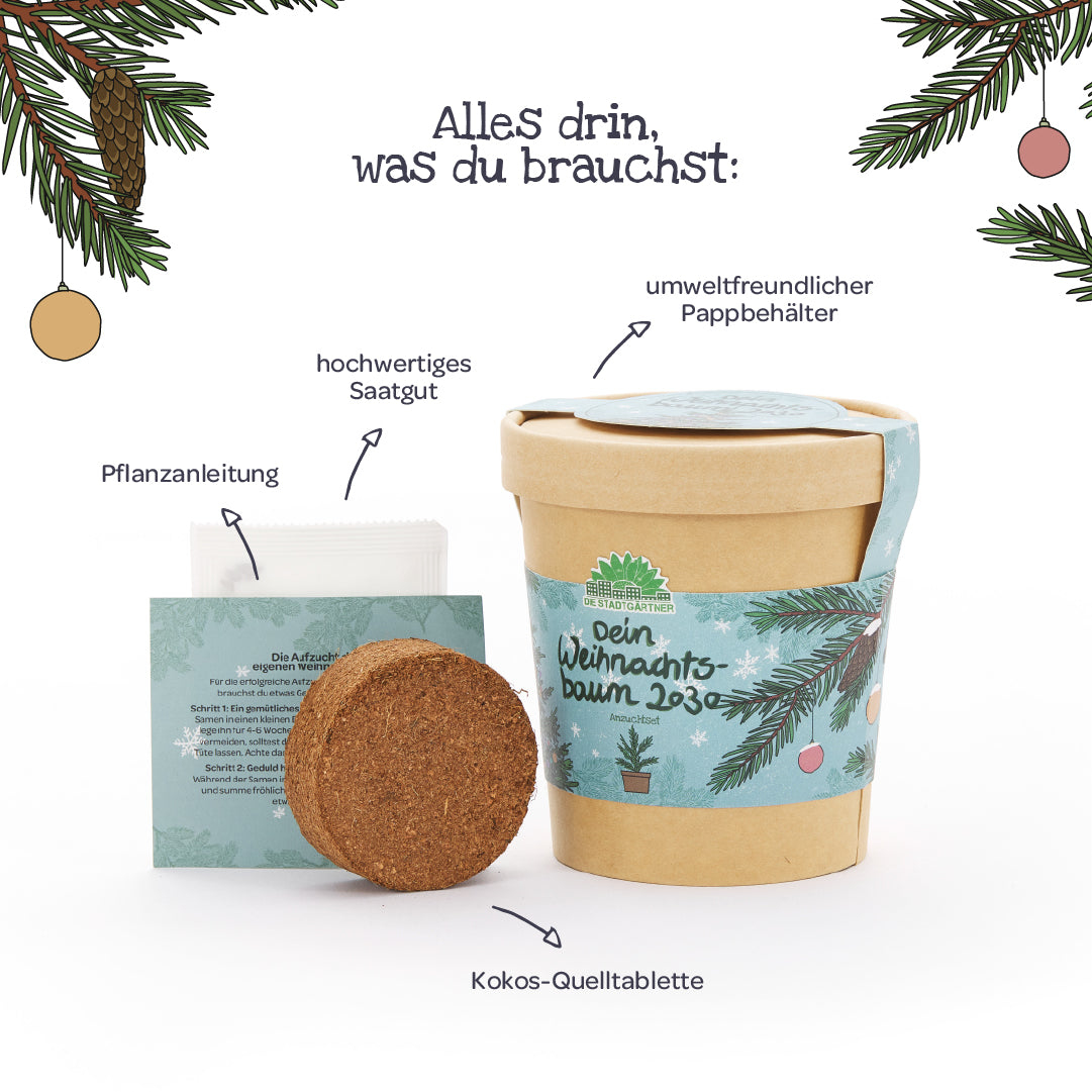 Weihnachtsbaum 2030 aus dem Becher 