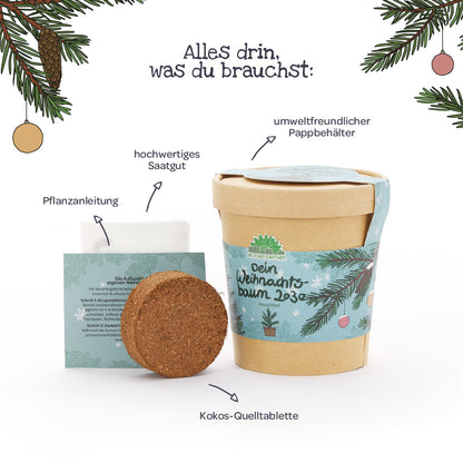 Weihnachtsbaum 2030 aus dem Becher 
