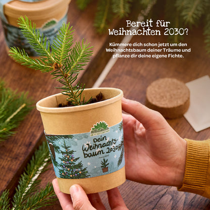 Weihnachtsbaum 2030 aus dem Becher 