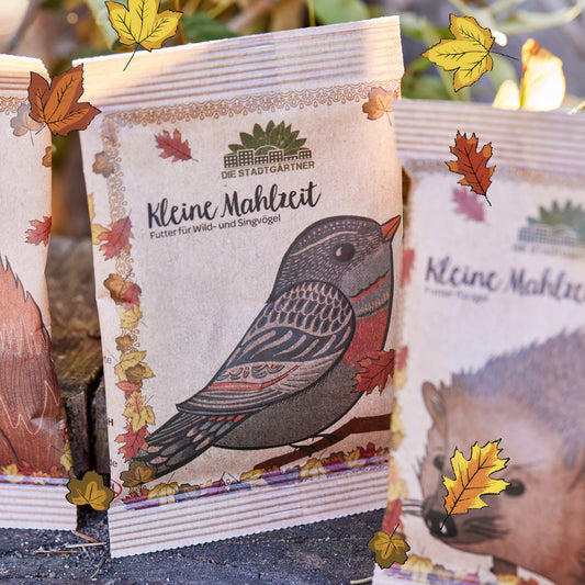 Kleine Mahlzeit – Vogelfutter 