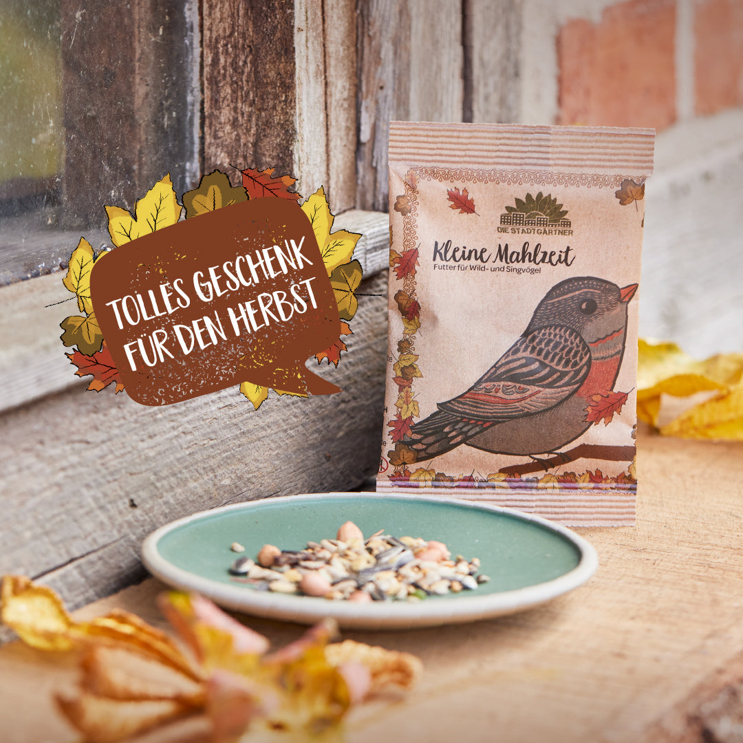 Kleine Mahlzeit – Vogelfutter 