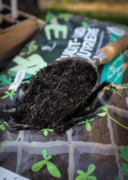 Wundergarten Anzucht- und Kräutererde 20L – 100% organische Bioerde für Samen Kräuter & Jungpflanzen – Torfreduziert mit Pflanzenkohle – Lockere Erde für gesunde Wurzeln