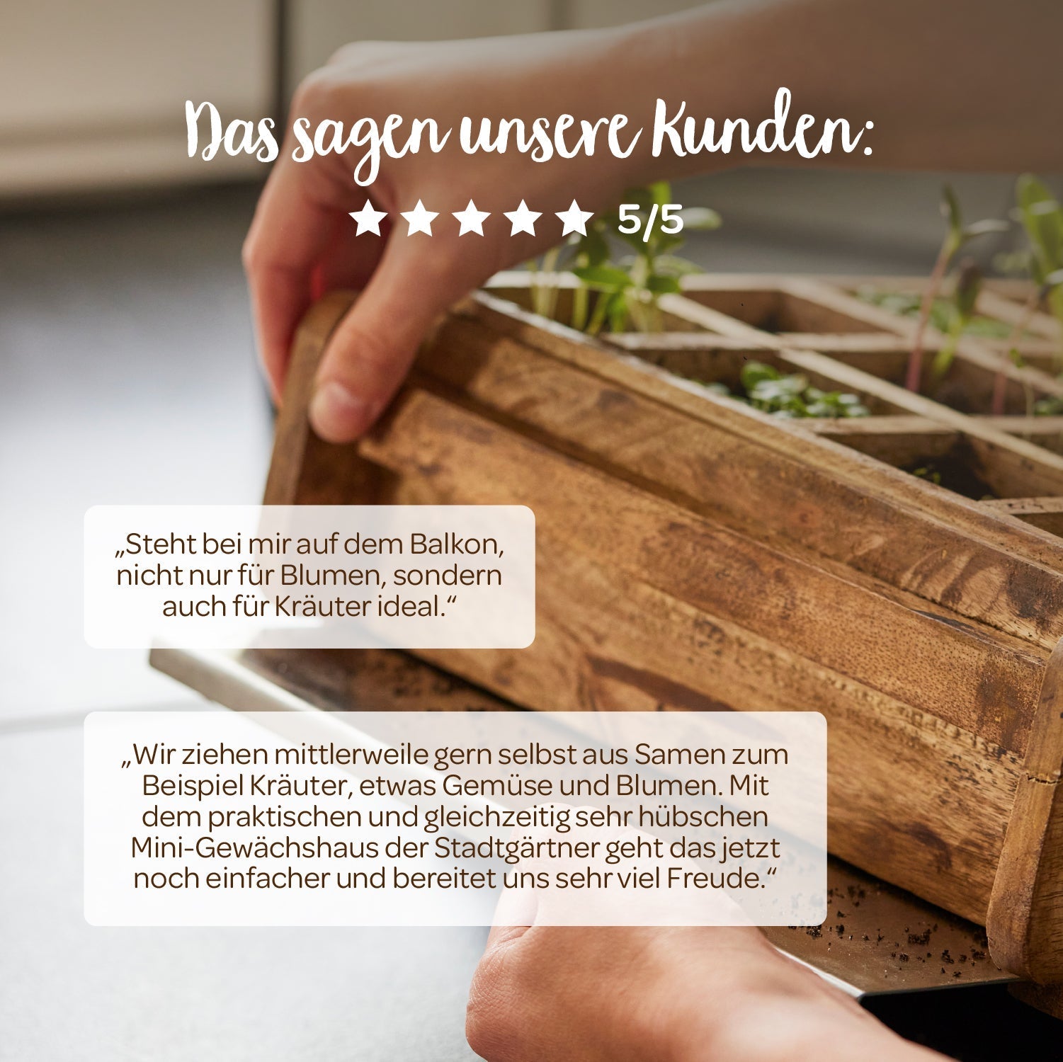 Hochwertiges Anzuchthaus mit 16 Fächern 