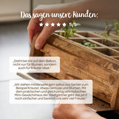 Hochwertiges Anzuchthaus mit 16 Fächern 