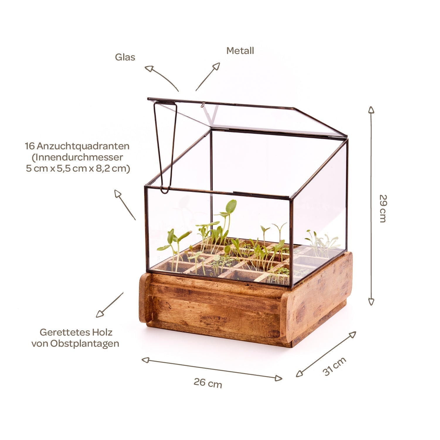 Hochwertiges Anzuchthaus mit 16 Fächern 