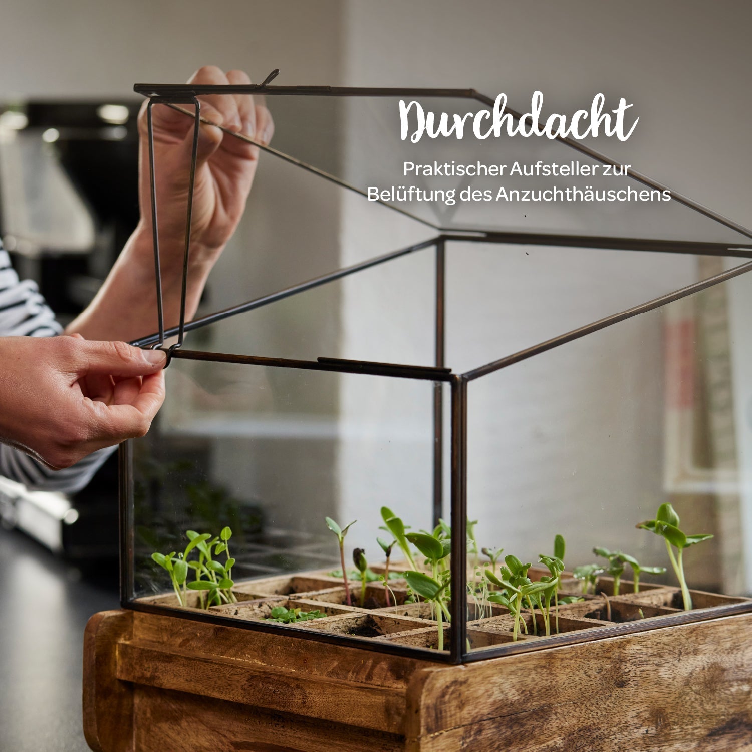 Hochwertiges Anzuchthaus mit 16 Fächern 