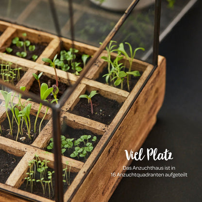 Hochwertiges Anzuchthaus mit 16 Fächern 