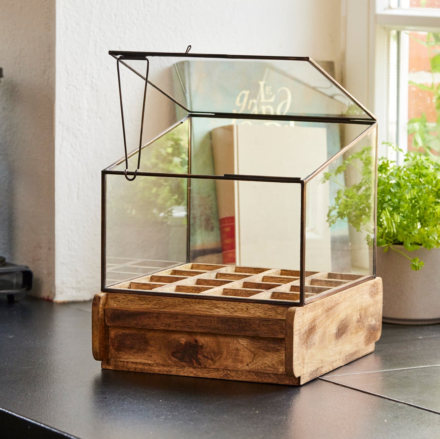 Hochwertiges Anzuchthaus mit 16 Fächern 