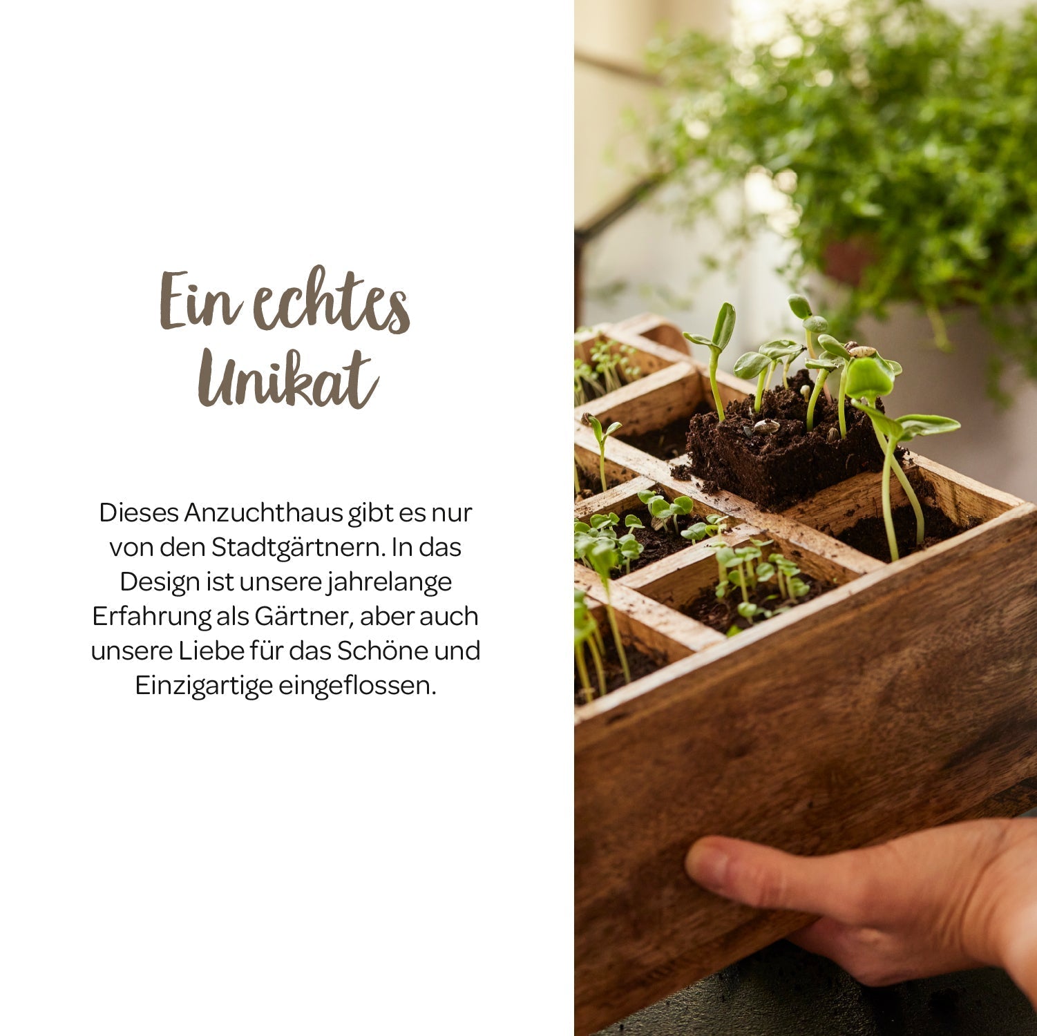 Hochwertiges Anzuchthaus mit 16 Fächern 