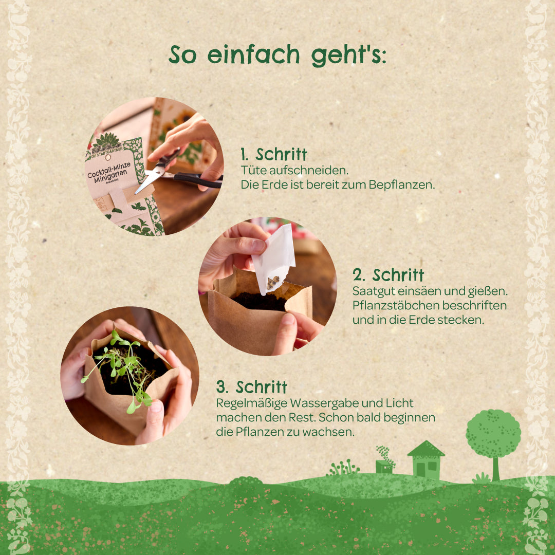 Anzuchtset – Minigarten BIO-Physalis 