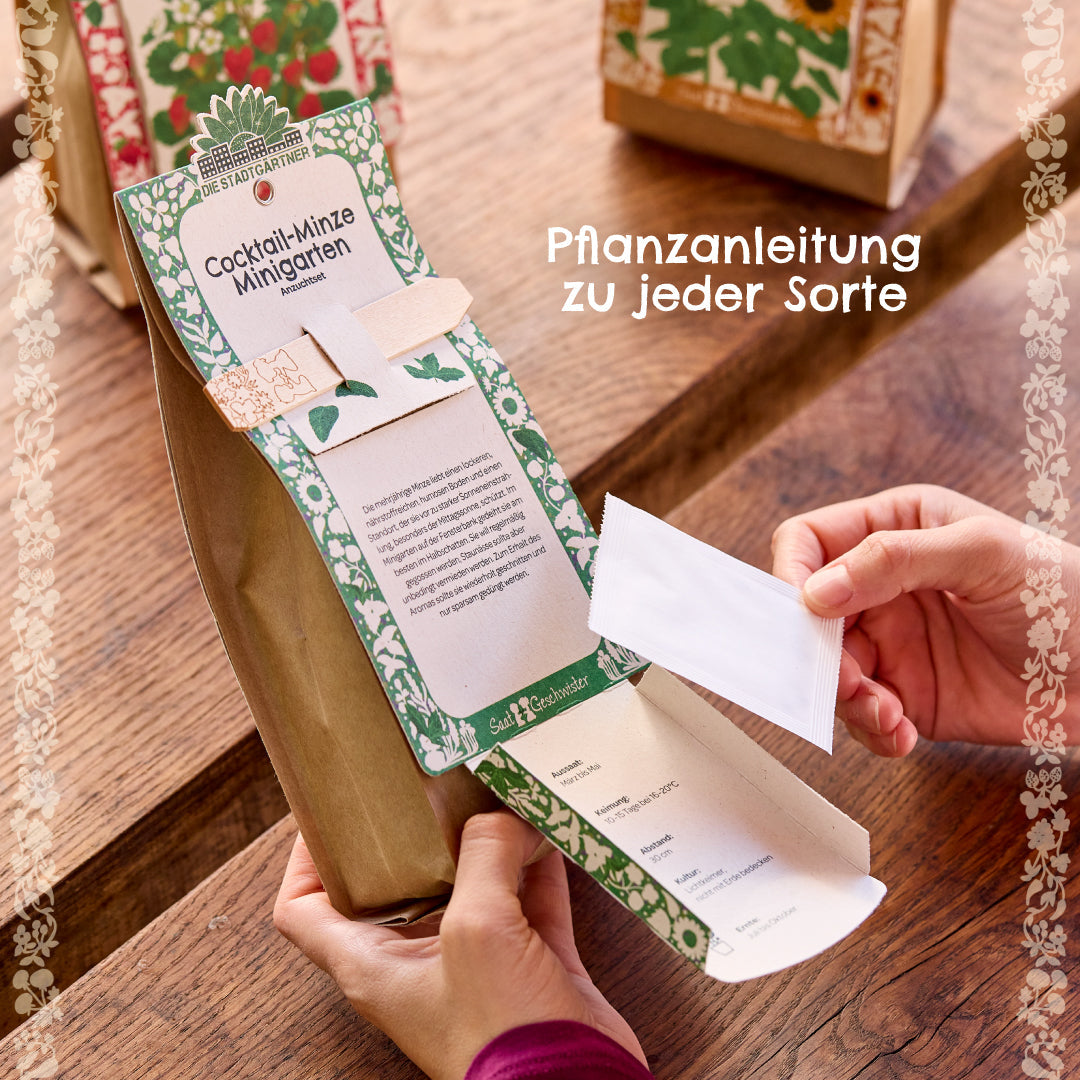 Anzuchtset – Minigarten BIO-Physalis 