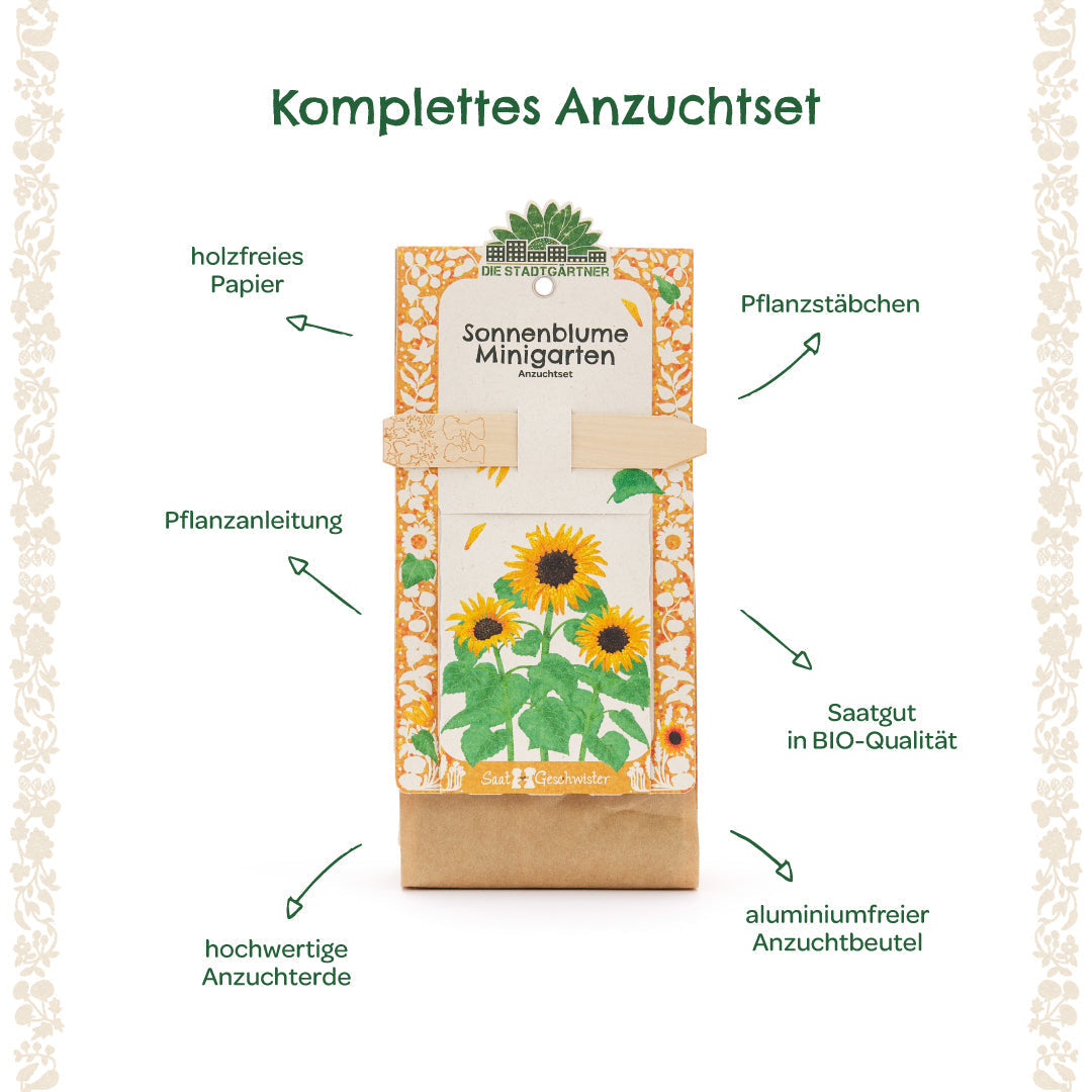 Anzuchtset – Minigarten BIO-Sonnenblume 