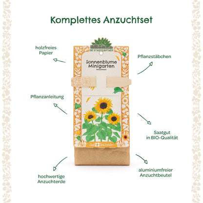 Anzuchtset – Minigarten BIO-Sonnenblume 