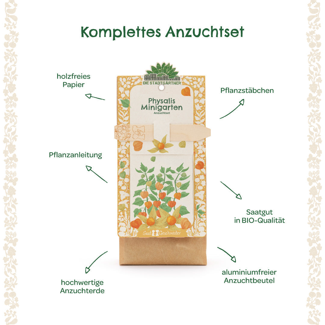 Anzuchtset – Minigarten BIO-Physalis 