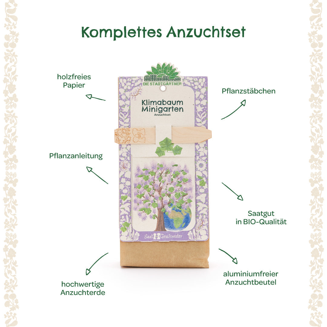 Anzuchtset – Minigarten Klimabaum 