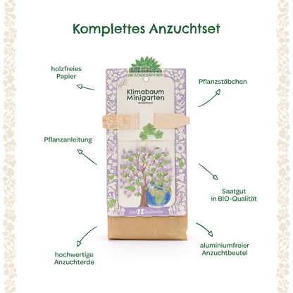 Anzuchtset – Minigarten Klimabaum 